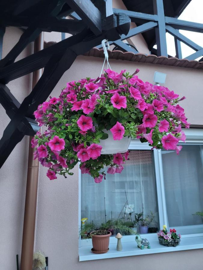 Anda vendégház Harkány Exterior foto